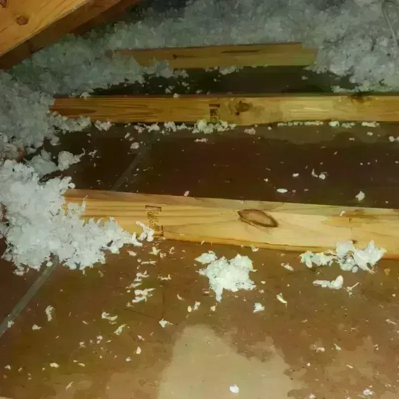 Attic Water Damage in Brookside, AL