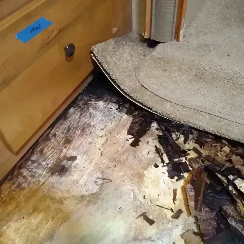 Wood Floor Water Damage in Brookside, AL